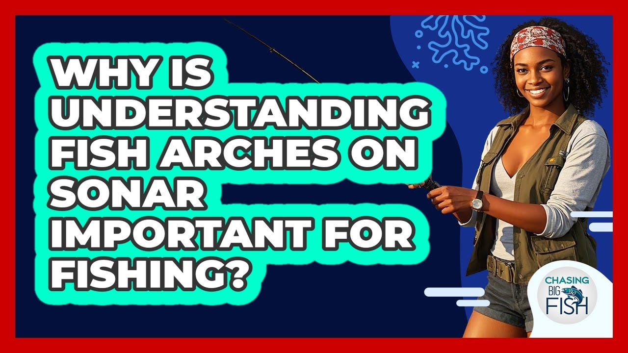 Why Is Understanding Fish Arches On Sonar Important For Fishing? - Chasing Big Fish
