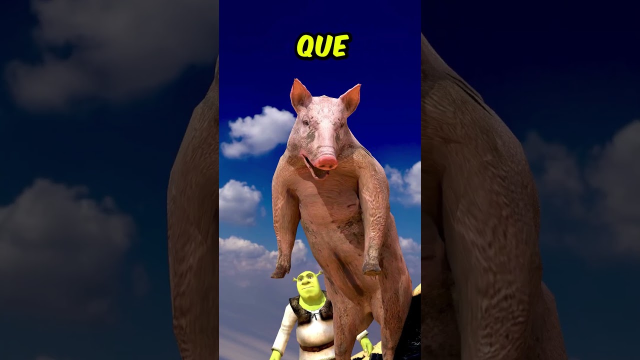 TRINI POLEMICA STREAMER CONTEXTO CANCION