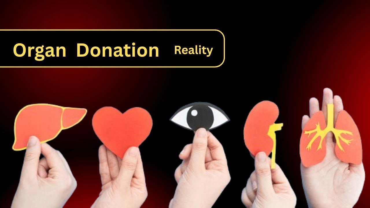 Organ Donation Crisis 2025 | Guidelines, Women&rsquo;s Priority, Emotional Reality
