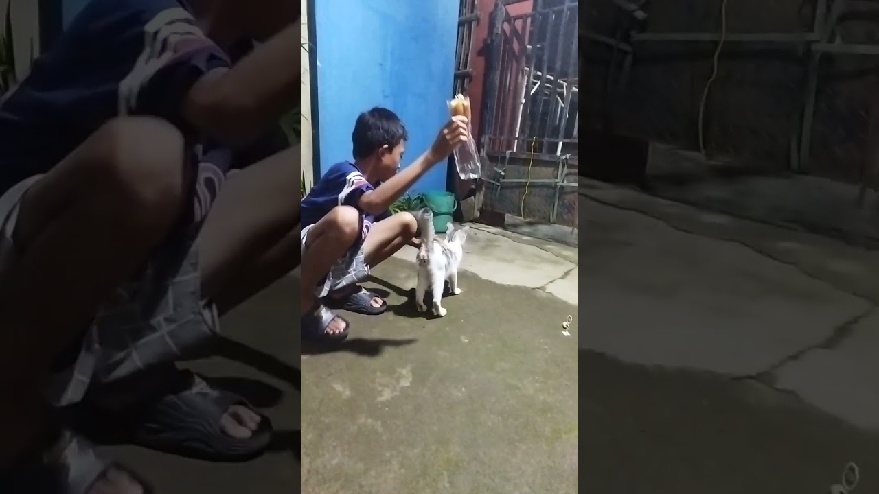 seneng dia di elus elus