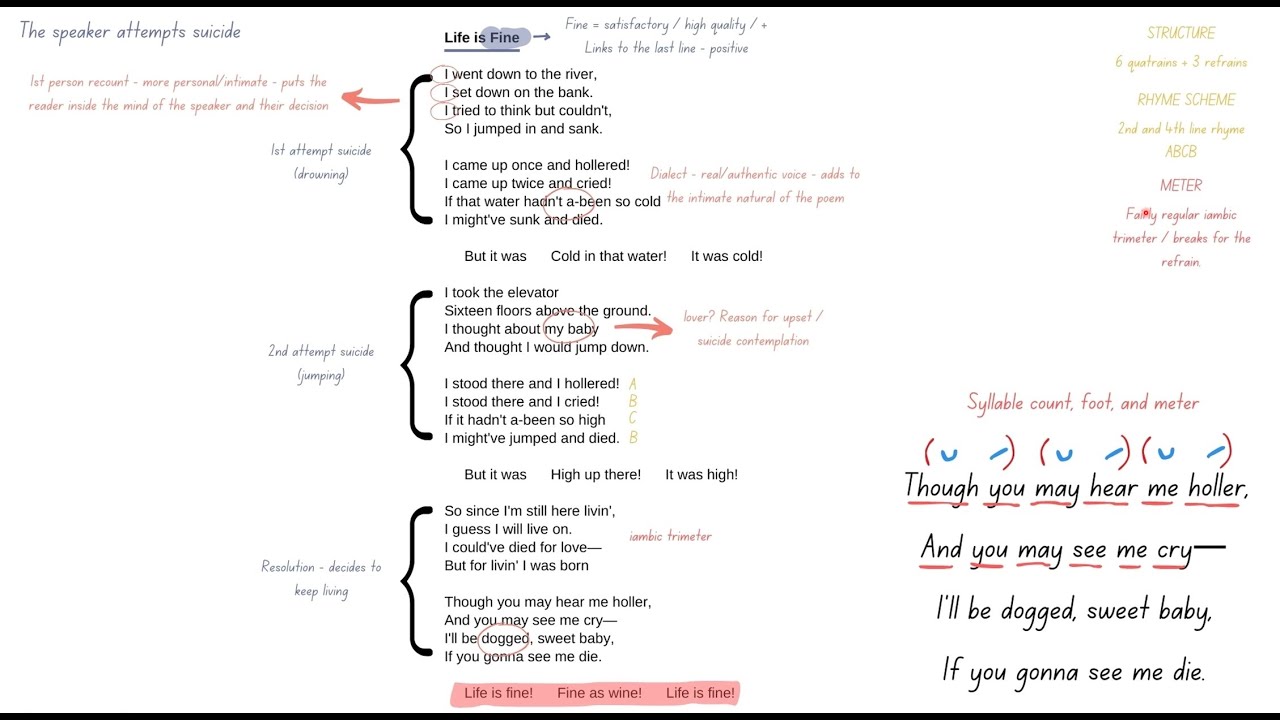How to Analyse a Poem | (Part 2 of 3) | Life is Fine by Langston Hughes | Poetry