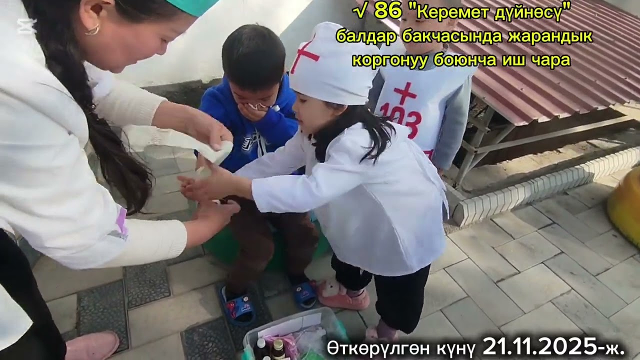 21 ноября 2025 г.
