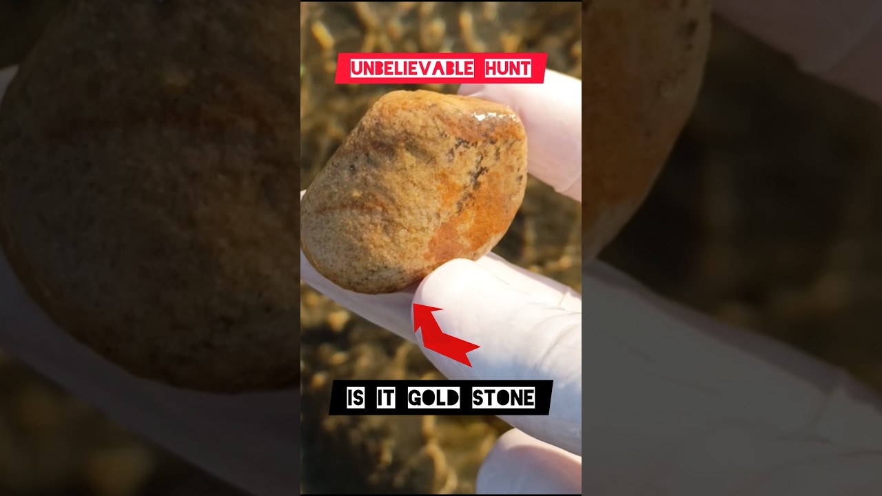 Natural gold stone founding in river side😱 #crystals #rareminerals #gemstones #minerals #preciousgem