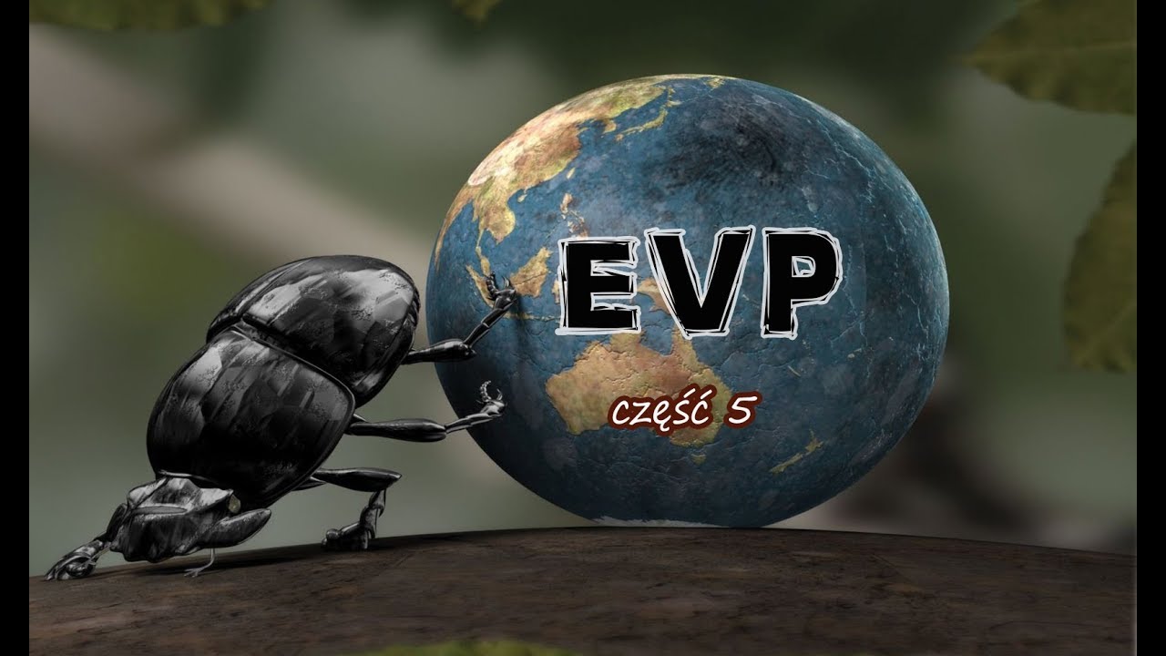EVP. Informacje uzyskane poprzez transkomunikację instrumentalną - część 5.