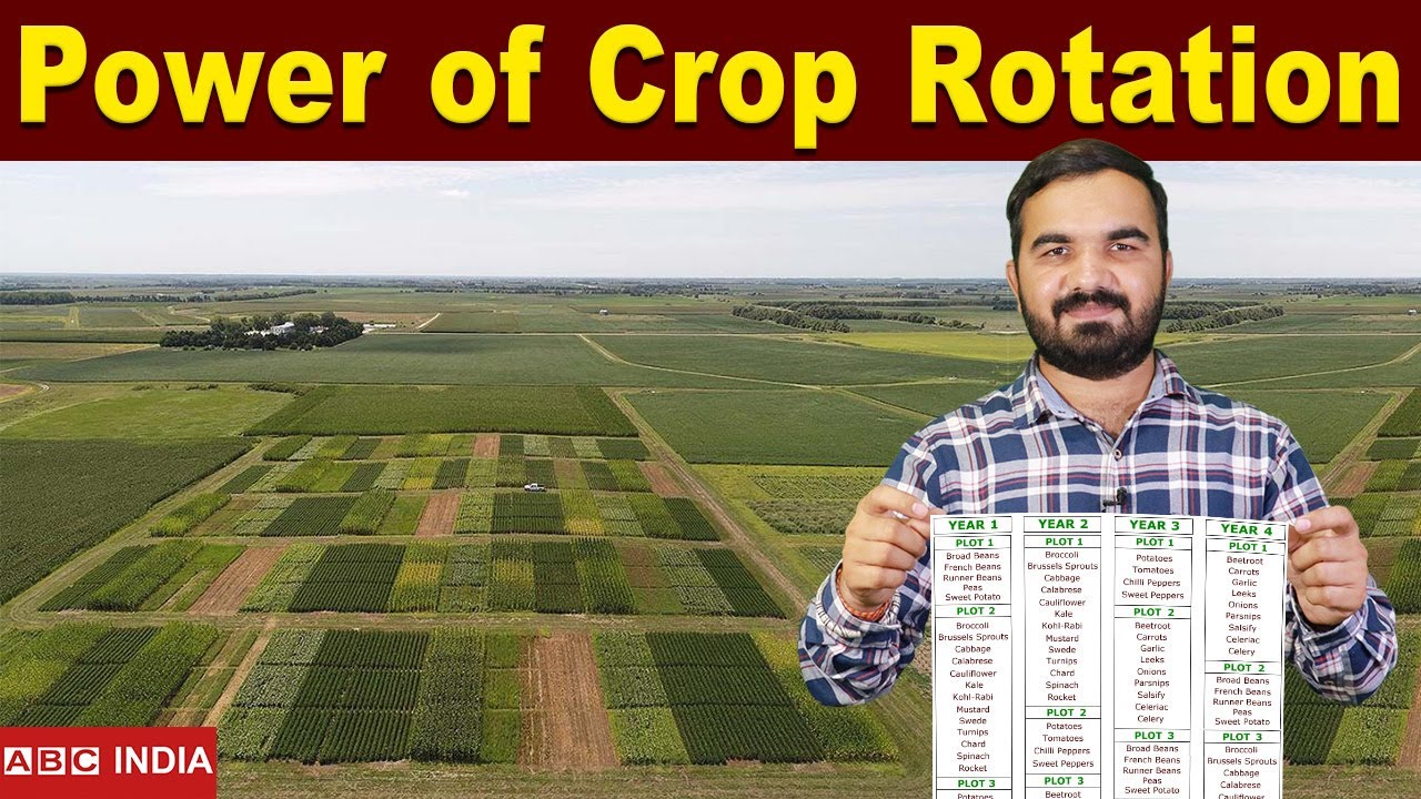 Crop Rotation table ऐसे बनाए | Crop Rotation Explained | how to make crop rotation table #crop
