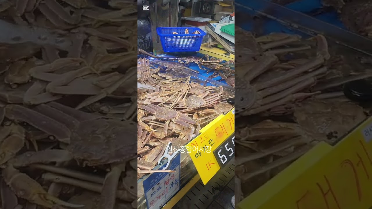인천종합어시장 