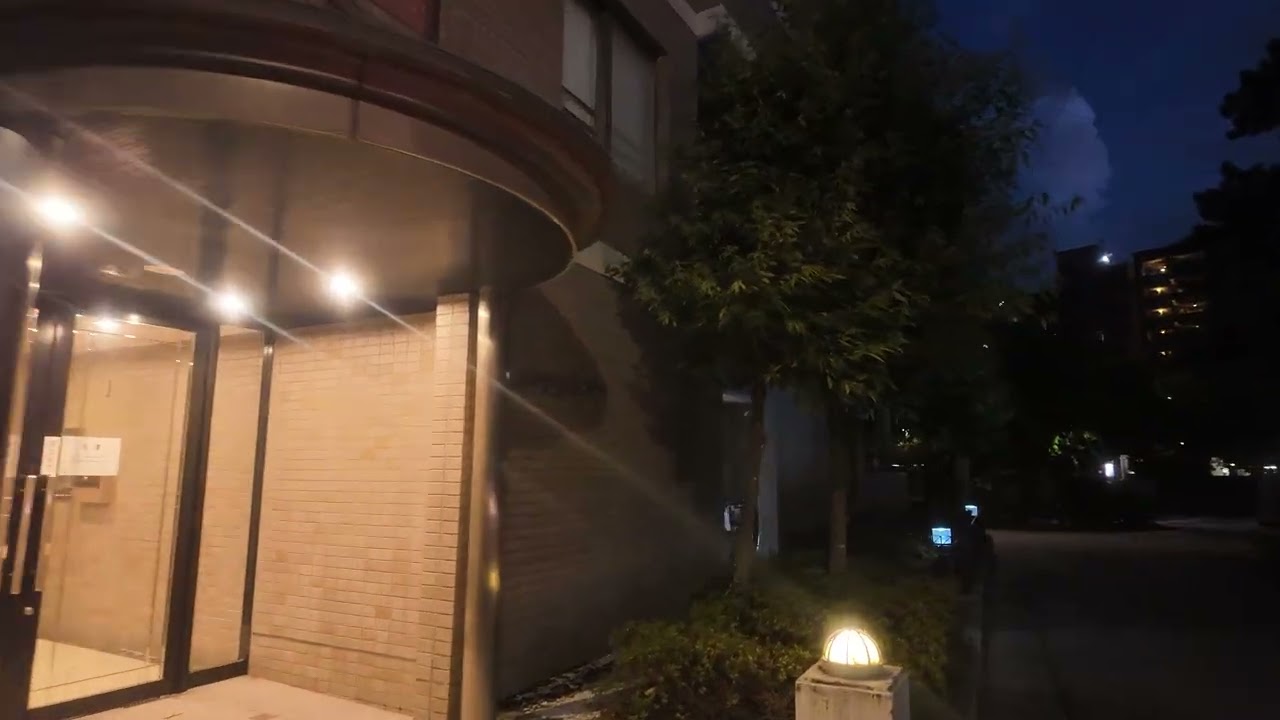 金泽夜晚