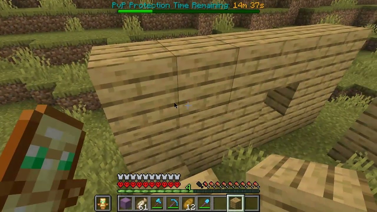 How I Nearly Died to Baby Zombies on a Hardcore SMP