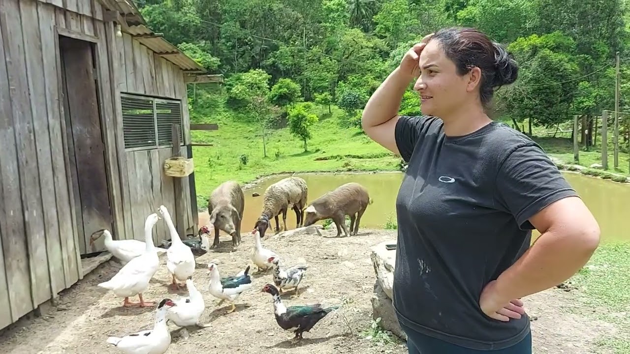 Não esperávamos por isso,  olha o tamanho do susto