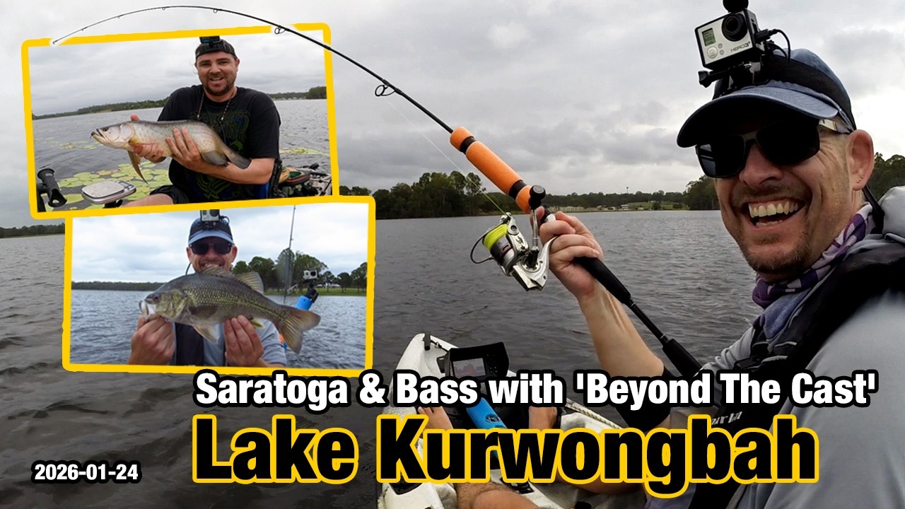 Saratoga and Bass with 'Beyond The Cast' - Kayak Fishing at Lake Kurwongbah