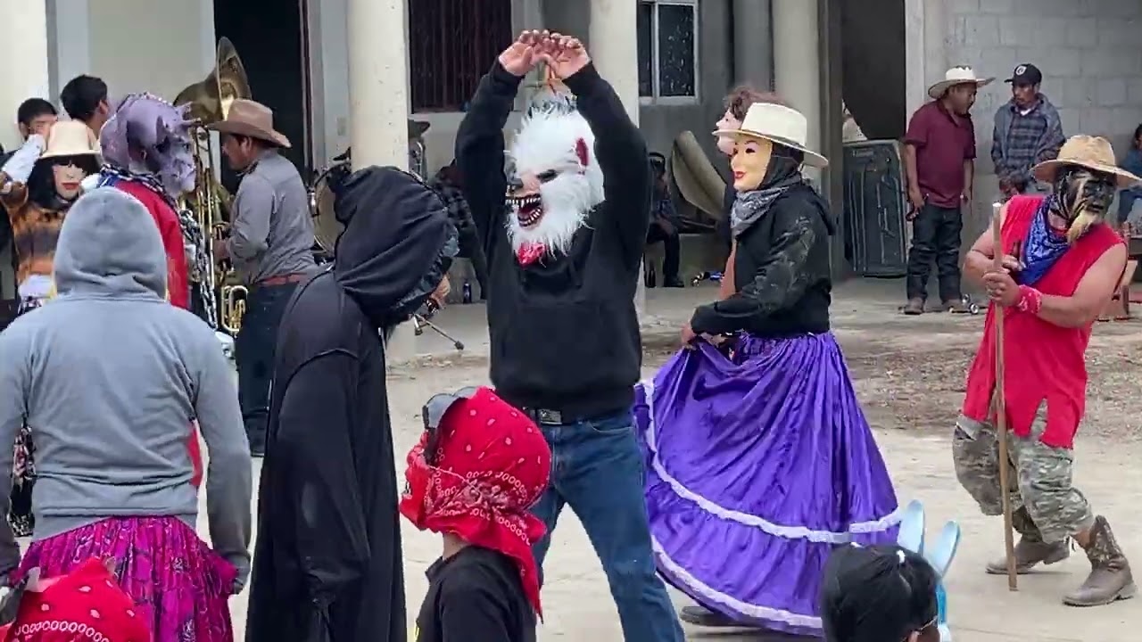 Asi se baila el carnaval en mi gente, San Juan piñas 😊🍍