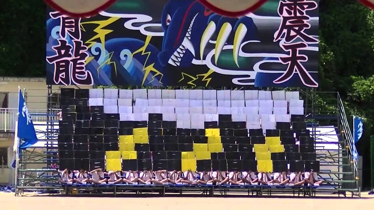 2014 八幡高校体育大会 青応援合戦（人文字パネル）