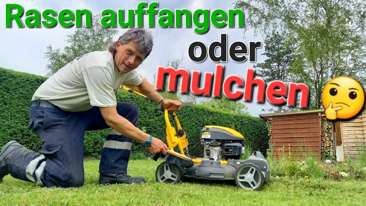Rasen mulchen oder auffangen? Rasenmäher Vergleich STIGA Multiclip ST 140 vs. SOLO Primo 582 #garten