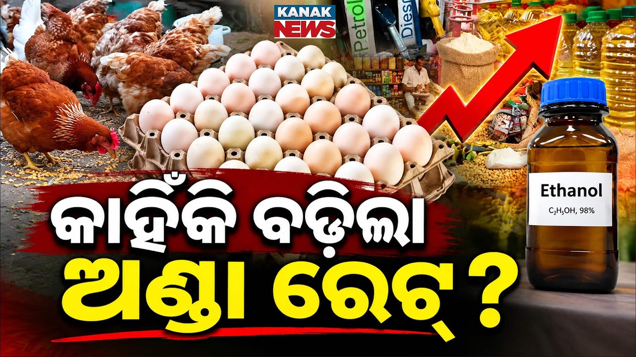 Egg Price Hike in India | How Ethanol and Corn Prices Affect Eggs