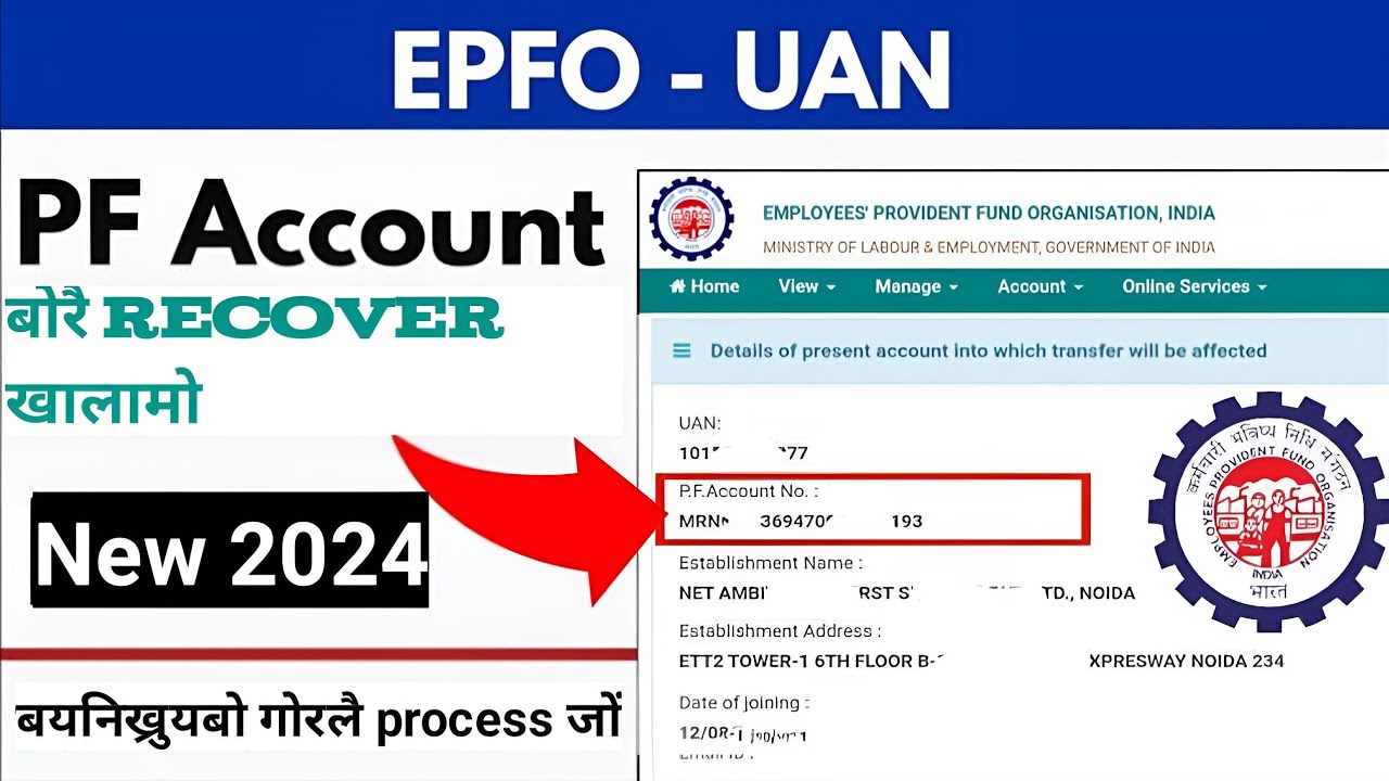 PF number kwo recover kalam|| How to recover PF account  @BoroniAlfred @Anythingmj