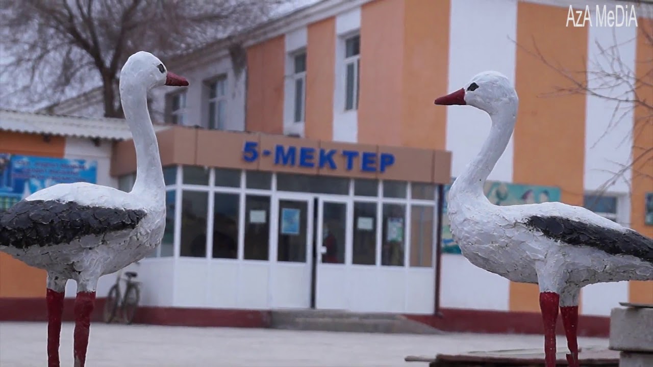 кегйли 5 мектеп 20 жиллик
