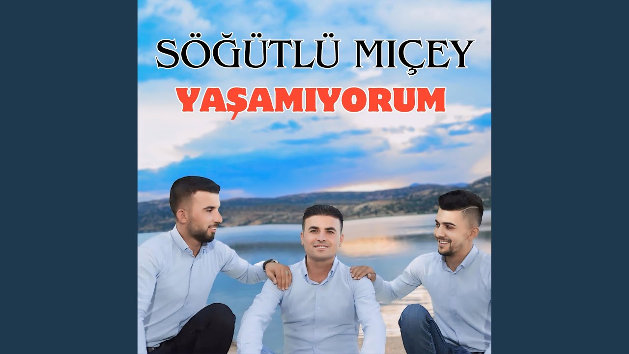 Yaşamıyorum