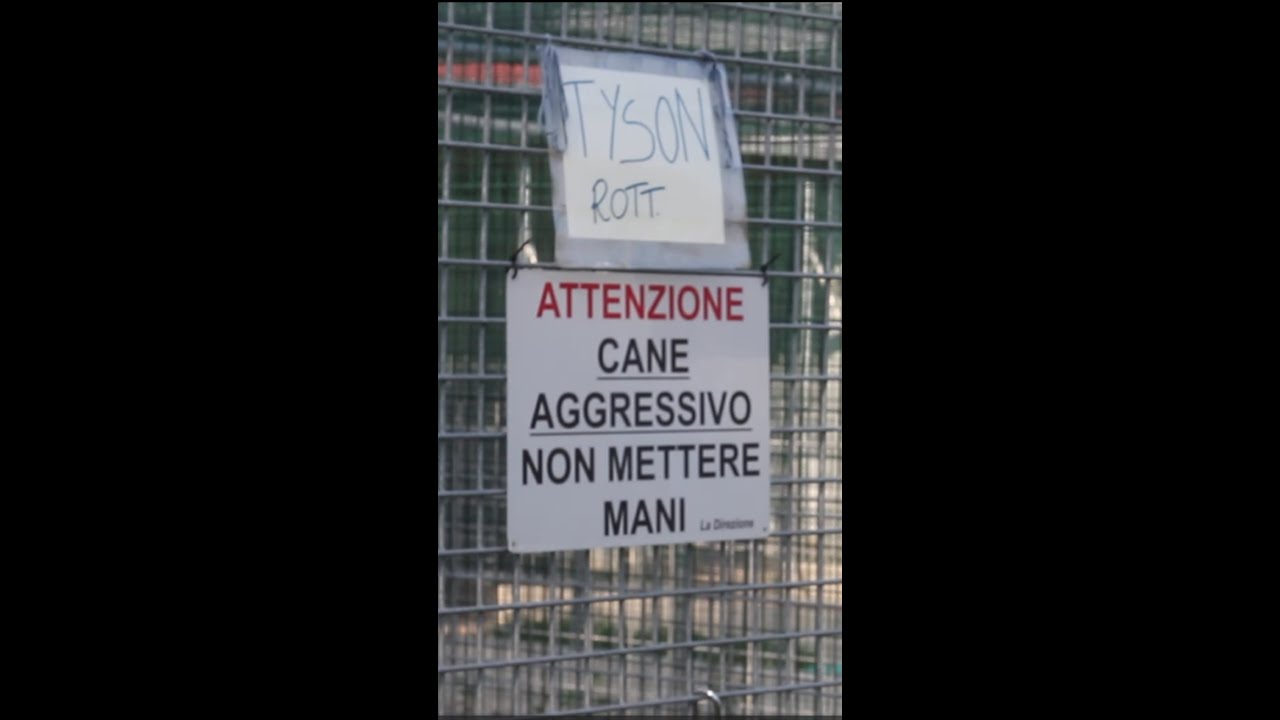 Si può recuperare un cane che aggredisce, anche mortalmente, il proprietario?