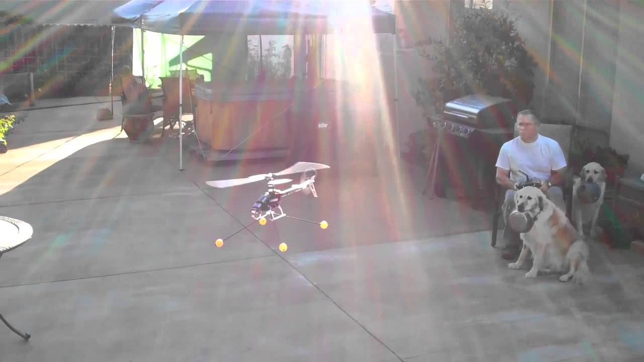 dogcopters