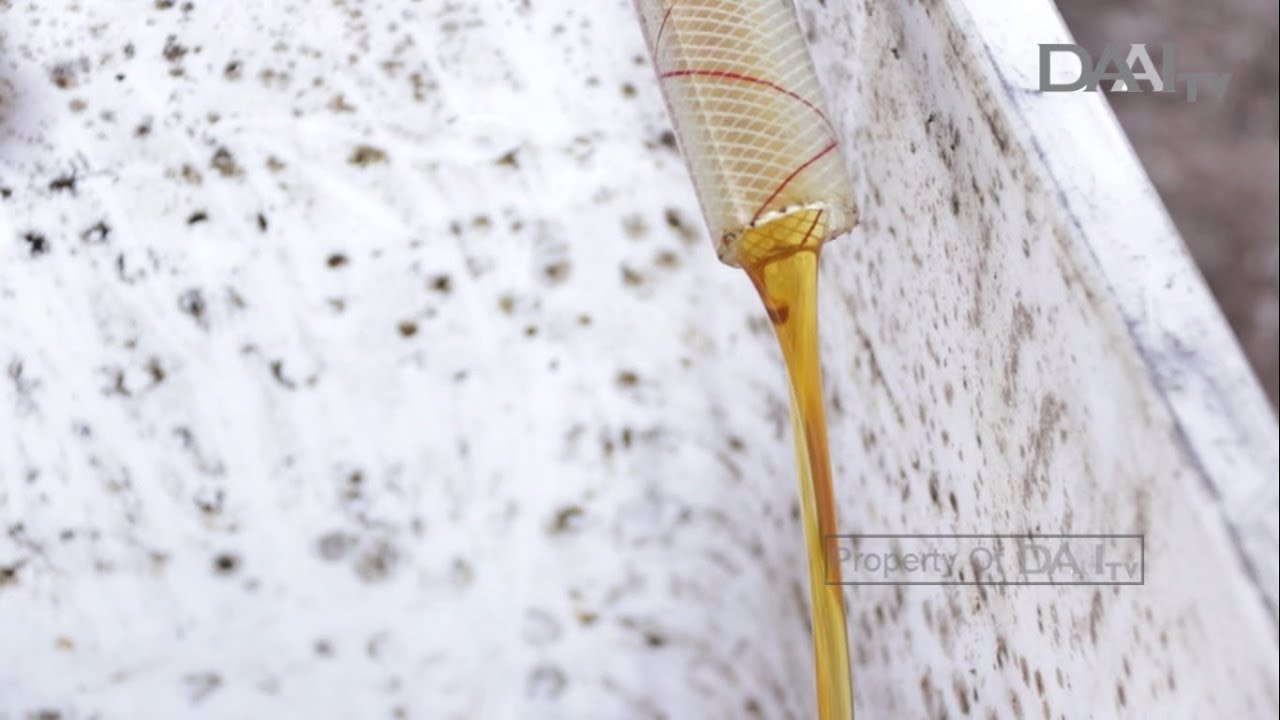 Jangan Asal Buang Jelantah | Bumiku Satu