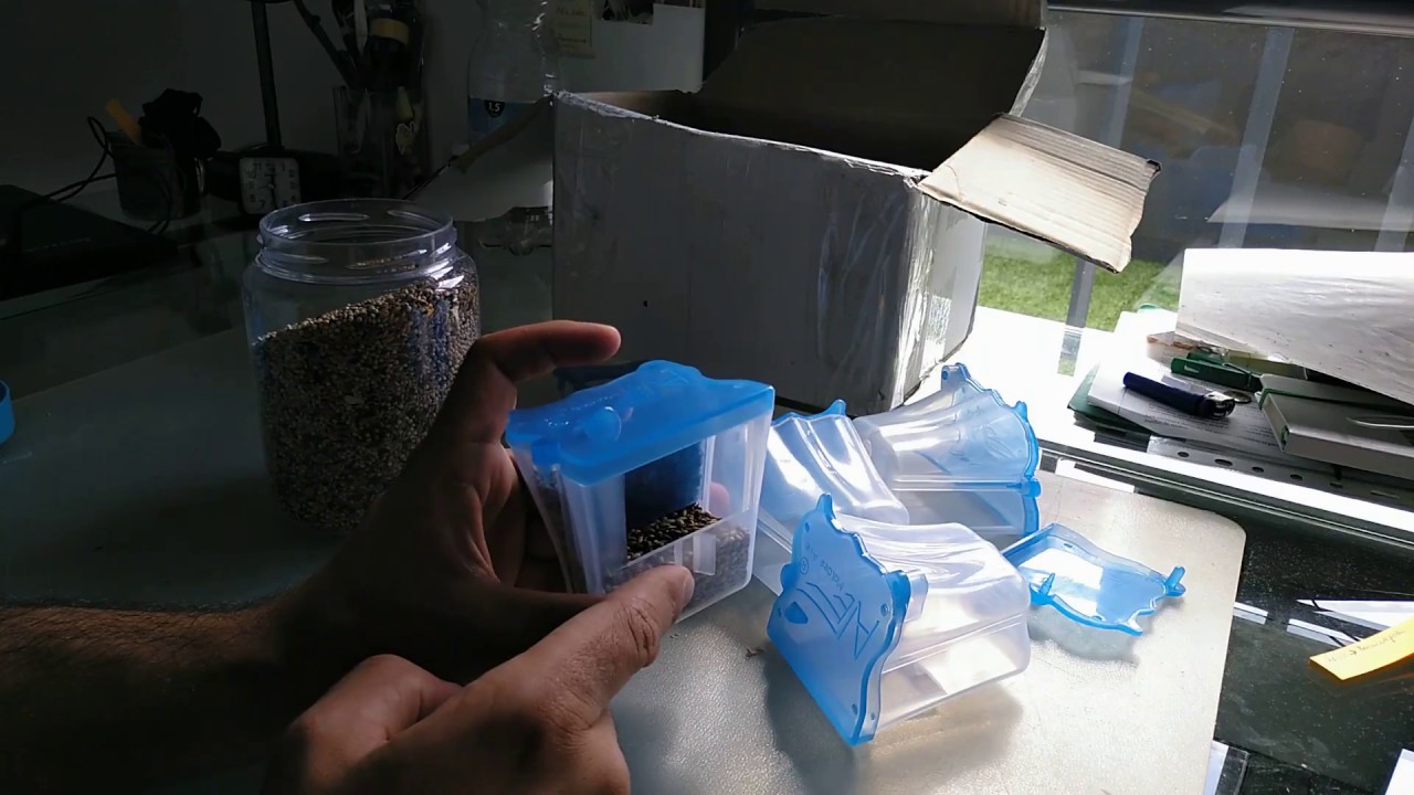 UNBOXING DE MI PEDIDO A MOLDES AVE