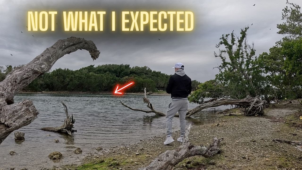 Watch this before fishing this location