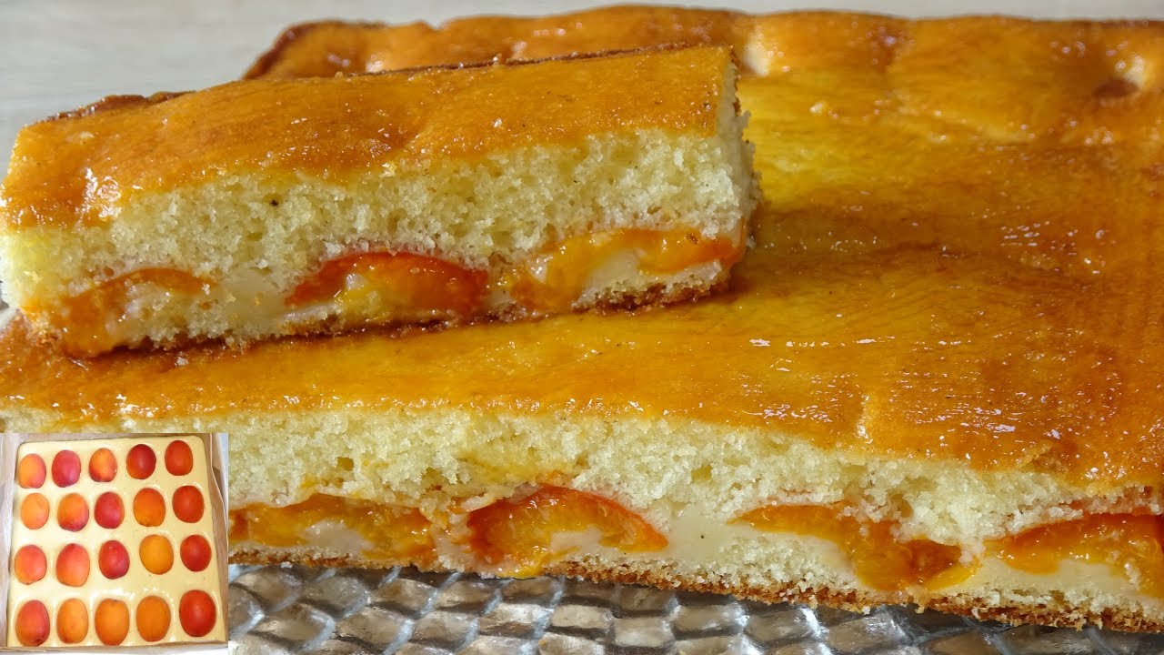 كيكة المشمش🍑 ب 2 بيضات هشة تذوب بالفم من أروع ما يكون🥰