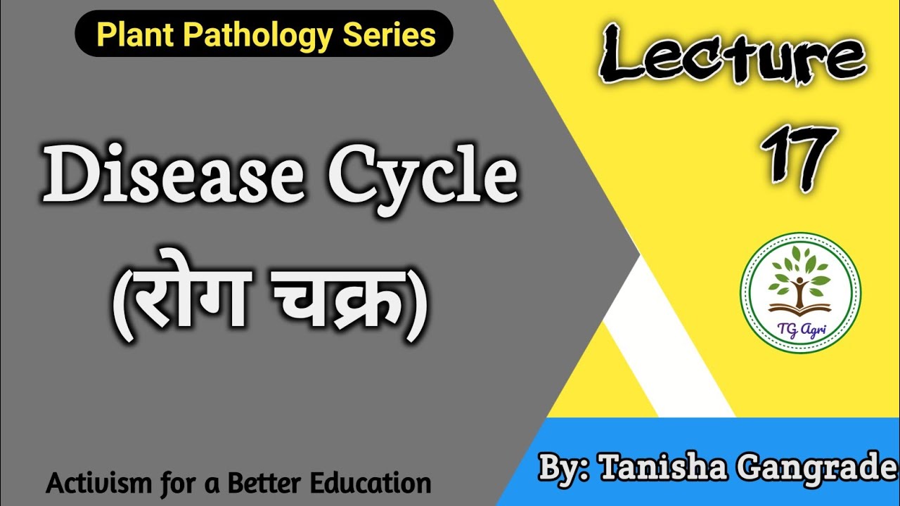 Disease Cycle | रोग चक्र | Stages of Disease cycle | Disease Cycles and their Stages by Tanisha