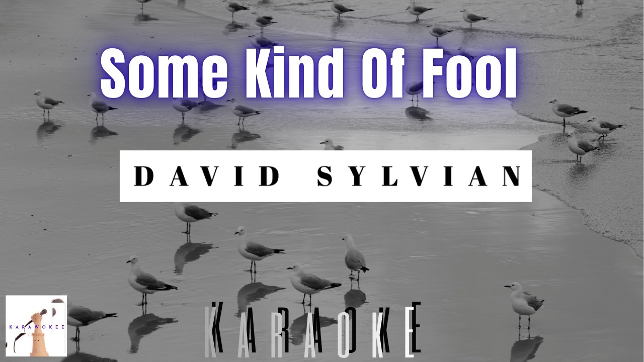 David Sylvian - Some Kind Of Fool (Karaoke)