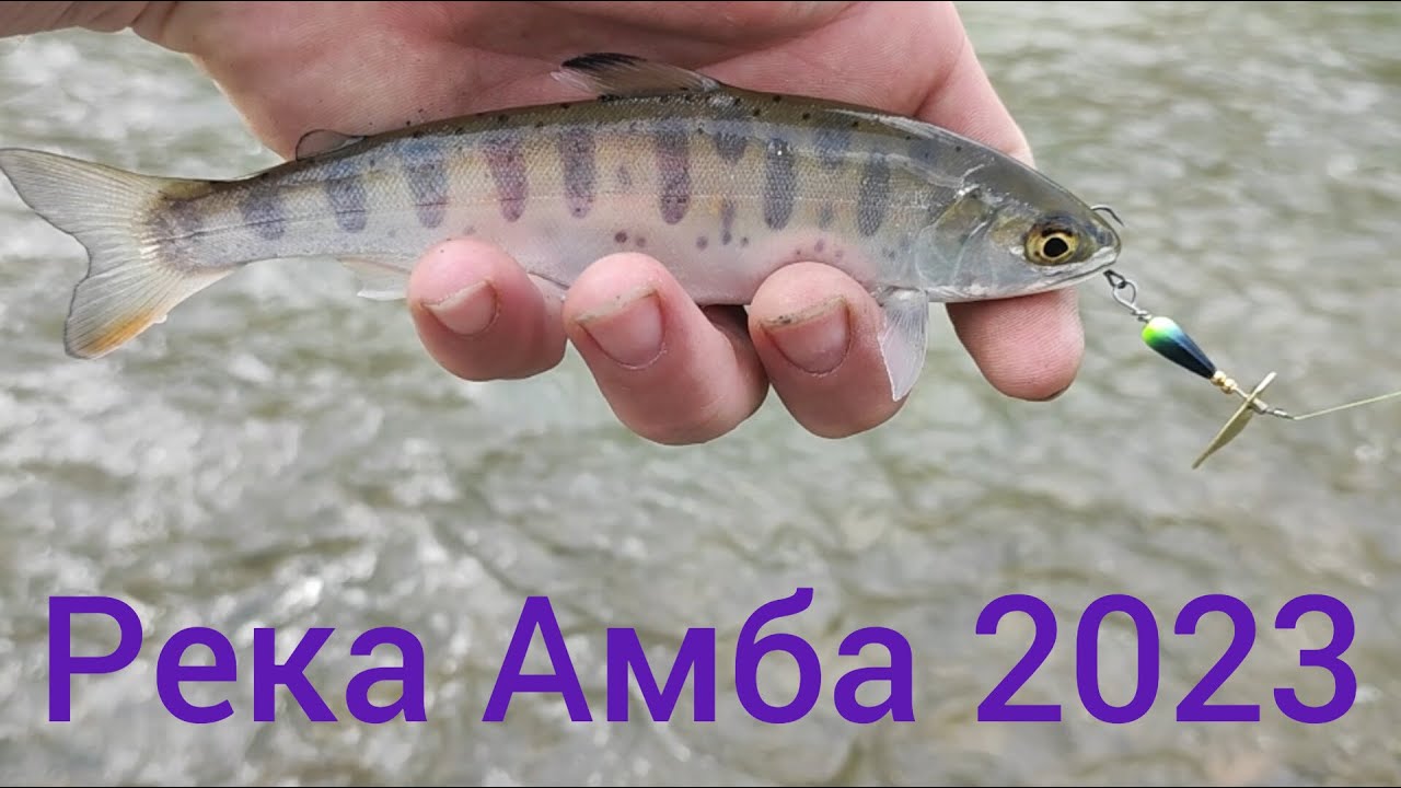 Рыбалка. Река Амба 2023. Хасанский район.