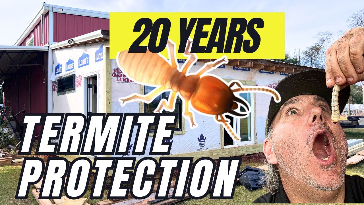 Get Rid Of Termites For Good With This Guaranteed Protection Plan!