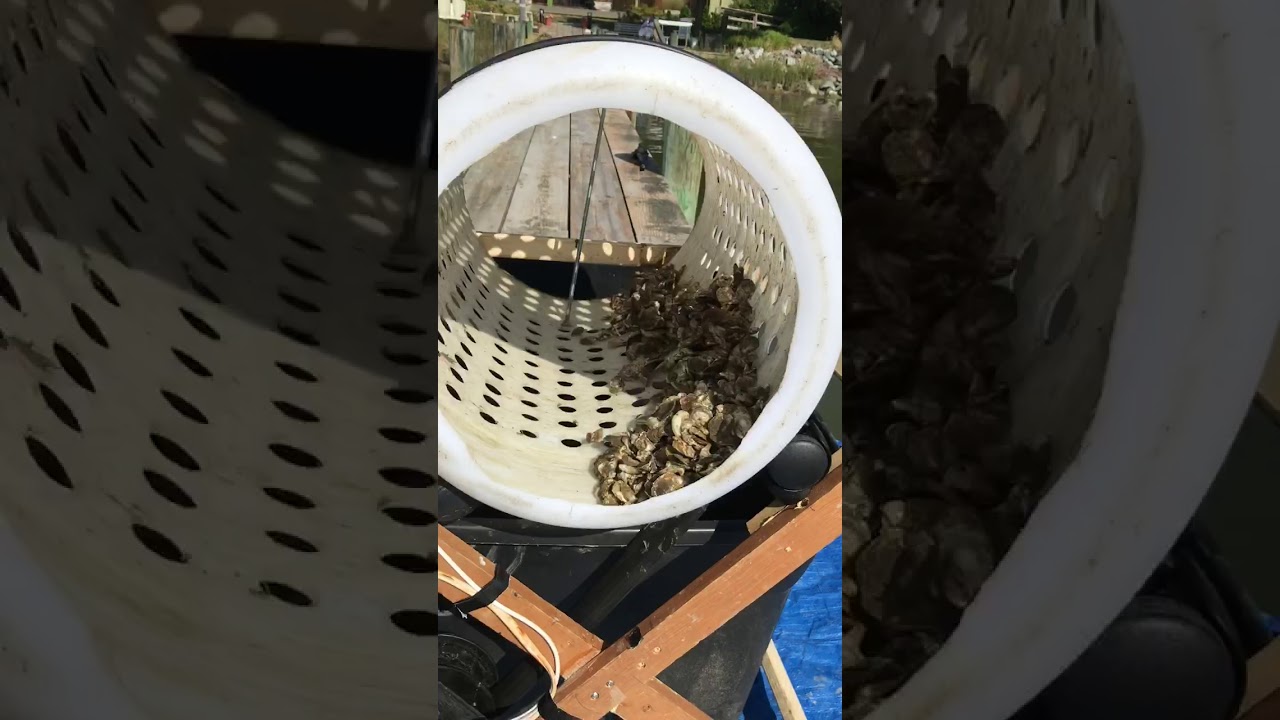 Home Brew Oyster Sorter/Tumbler