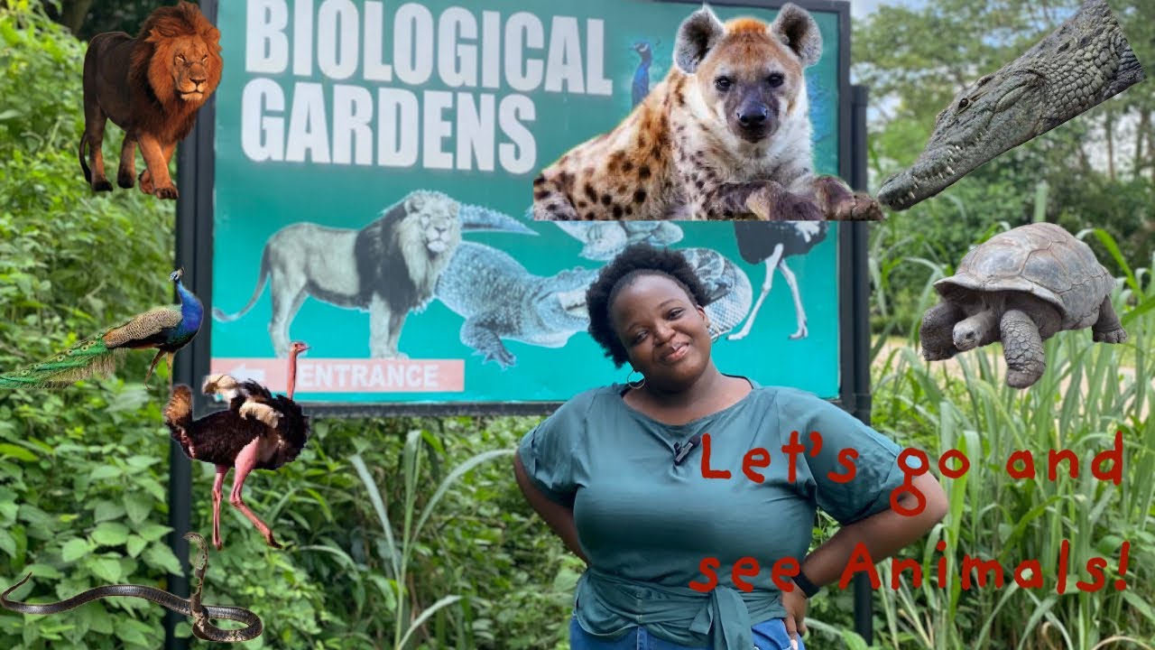 A visit to the Zoo at Obafemi Awolowo University|| Is it worth it???