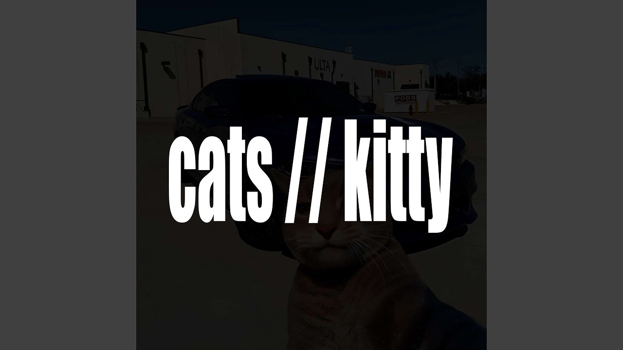 cats (intro)