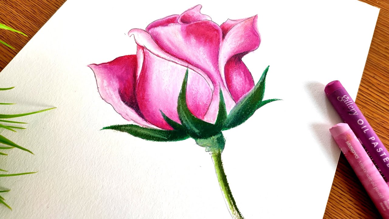 Rose | Easy and Creative Oil Pastel Drawing for Beginners Step by Step | 30 Min of Art