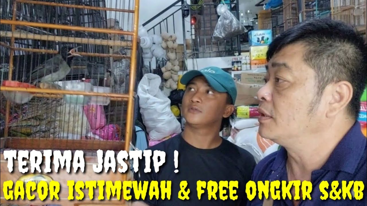 BERKAH RHAMADAN ! TERBARU BURUNG2 GACORAN & TERIMA JASA PENITIPAN PLUS FREE ONGKIR S&KB