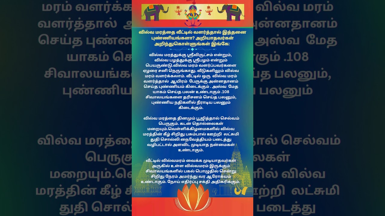 வில்வ மரத்தை வீட்டில் வளர்த்தால் இத்தனை புண்ணியங்களா#ஆன்மீக தகவல் #sivan  #vilvam
