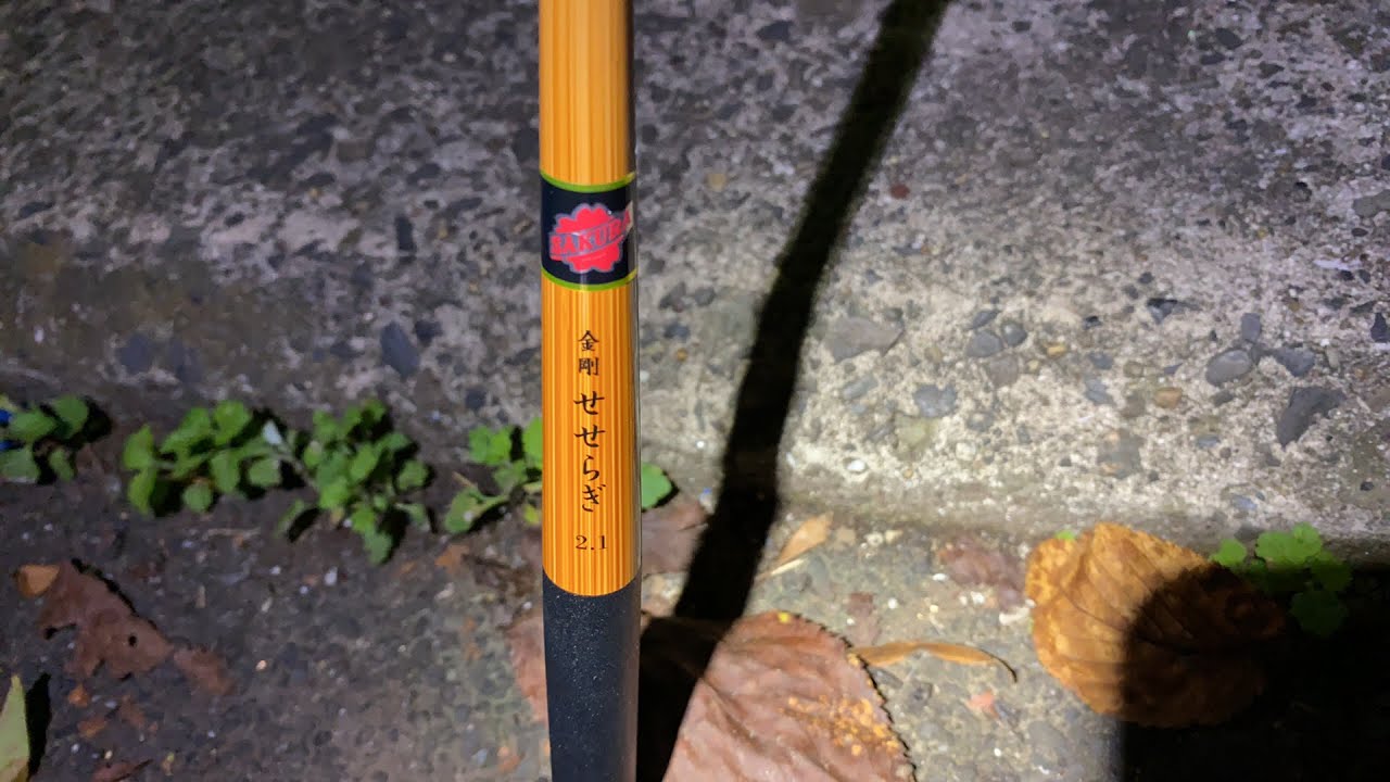 【東京9月】はぜ釣り生放送
