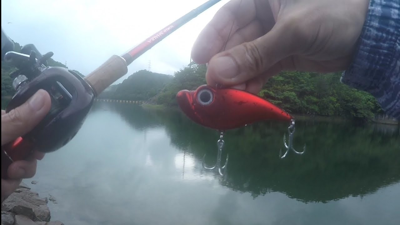 グランダー武蔵 スーパーぎょろっち 釣り