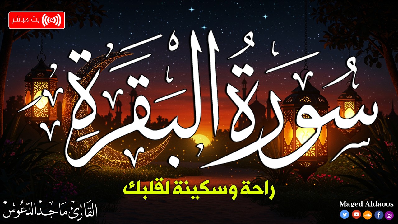 Surah Al-Baqarah Full | Beautiful Quran Recitation | Peaceful & Relaxing Tilawat