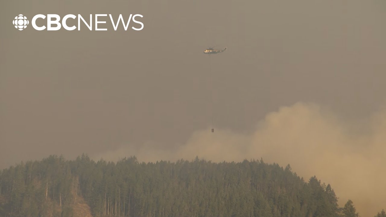 Heat warnings in B.C. increase the threat of wildfires