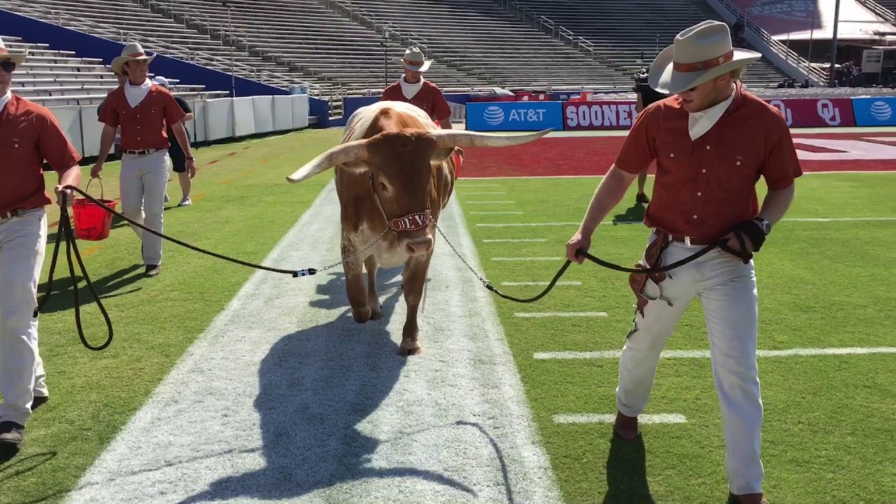BEVO XV arrival at 2017 Texas/OU Red River Showdown