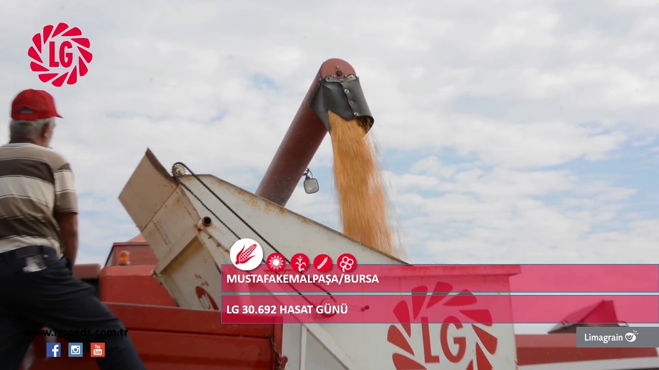 Kırmızının Gücü - LG Tohum Mısır LG 30.692 Hasat Günü