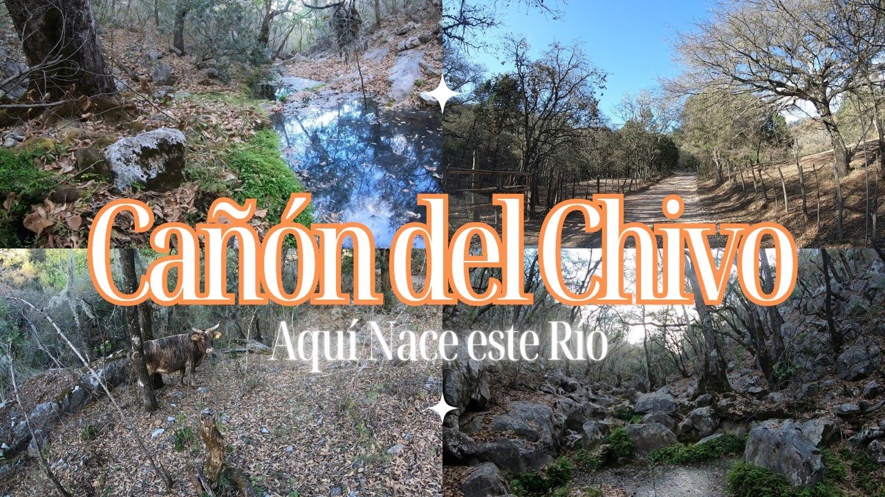Cañón del chivo, así brota el agua de este rio en sierra de Álvarez, San Luis Potosí.