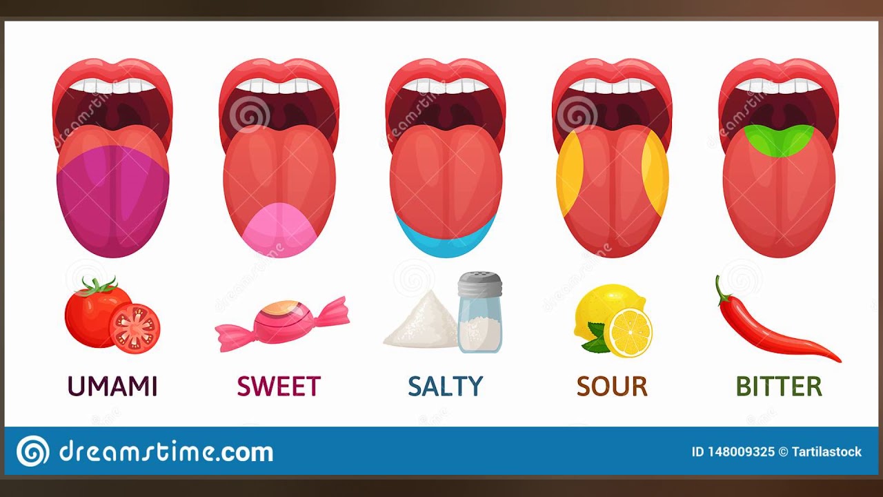 Tongue Map