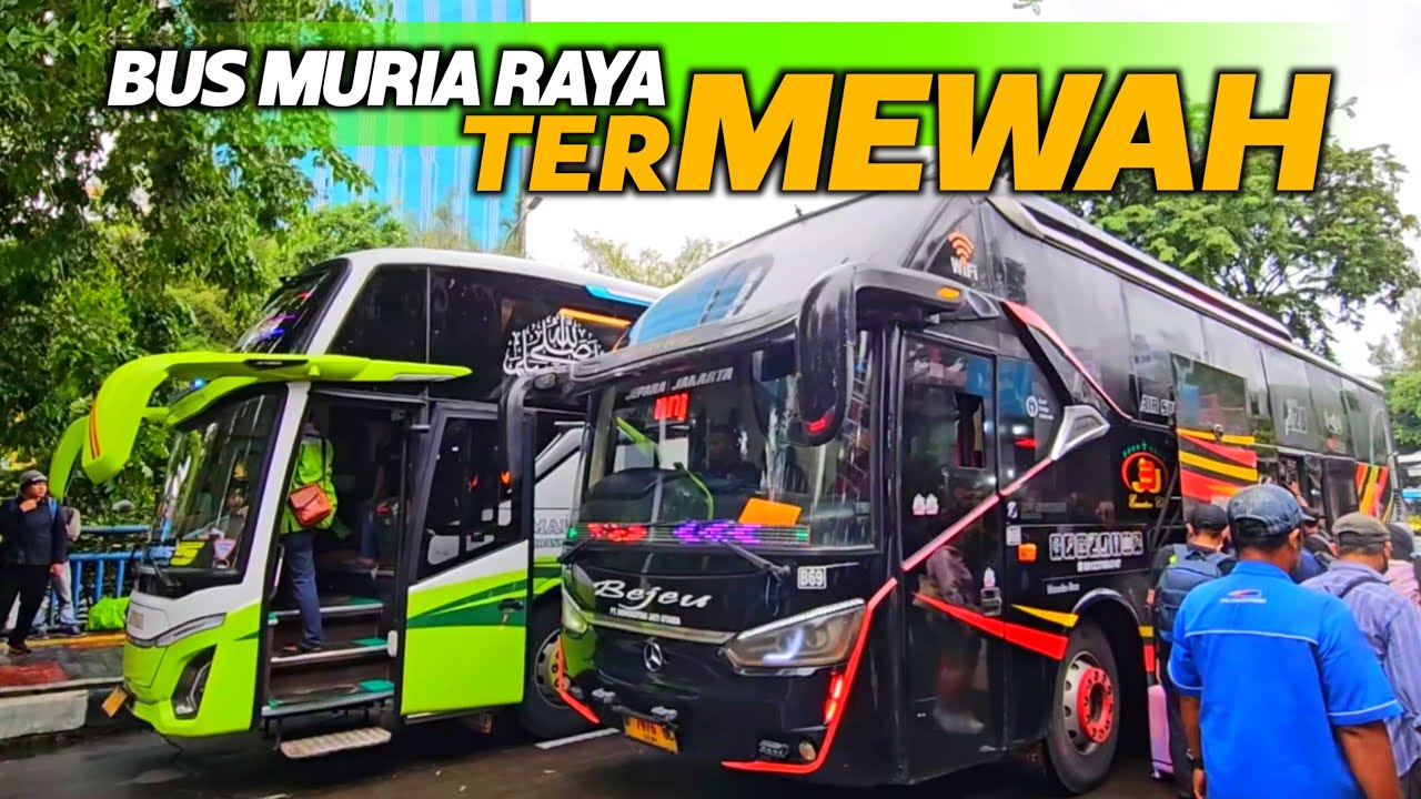  KALINGGA JAYA TERMEWAH ‼️ BUS BEJEU SELALU PENUH 😲 