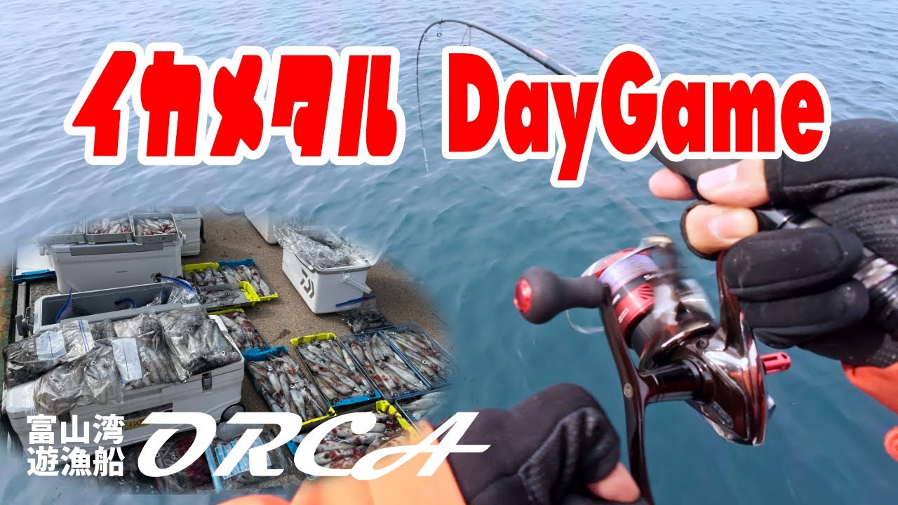 富山湾で　デイイカメタル　DayGame