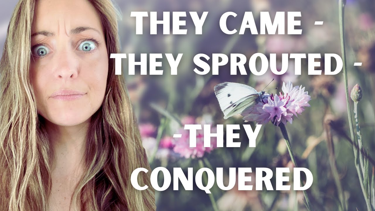 Garden Chaos: Cut Flowers that Multiply Without Permission