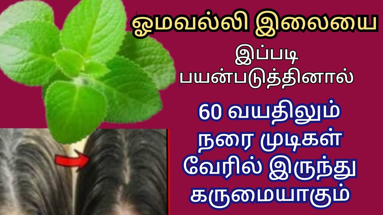 இந்த இலை🌿 இருந்தால் எவ்வளவு வெள்ளை முடிகள் இருந்தாலும்  நிரந்தரமாக கருமையாகும் | Homemade Hairdye