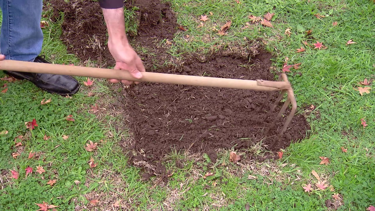 Outdoors Indoors Ep 11 - Repair Bare Patches - Turf Farm